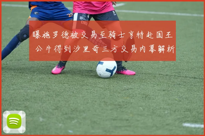 曝施罗德被交易至骑士亨特赴国王 公牛得到沙里奇三方交易内幕解析