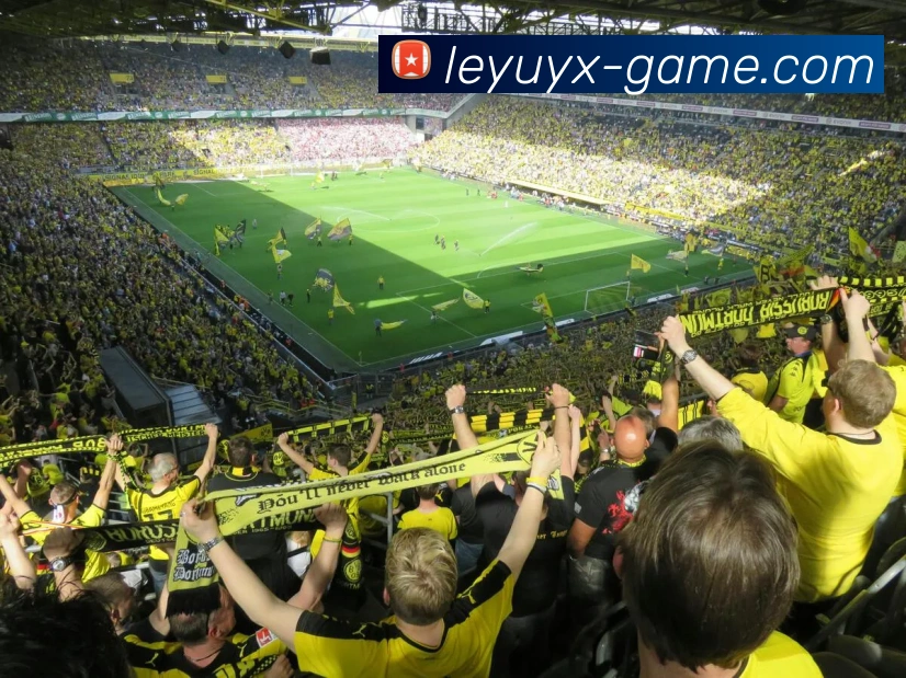 App Interface Preview