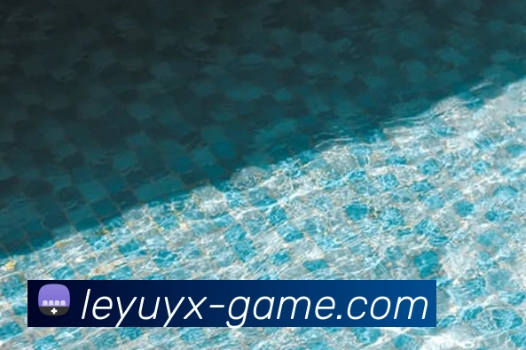 多媒体互动体验